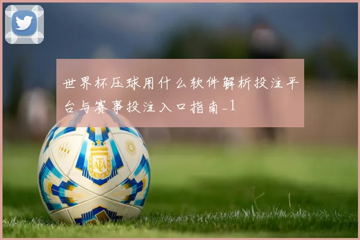 世界杯压球用什么软件解析投注平台与赛事投注入口指南_1