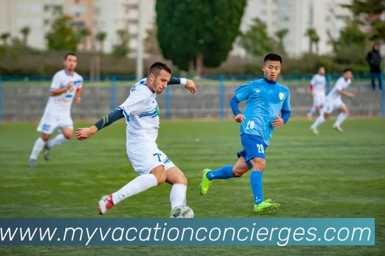 世界杯官网中文版服务体系